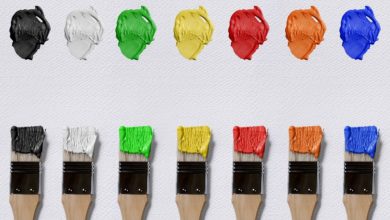 Photo of Choosing The Right Paint Brush For House Painting