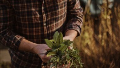 Photo of Best Clothes to Wear While Gardening